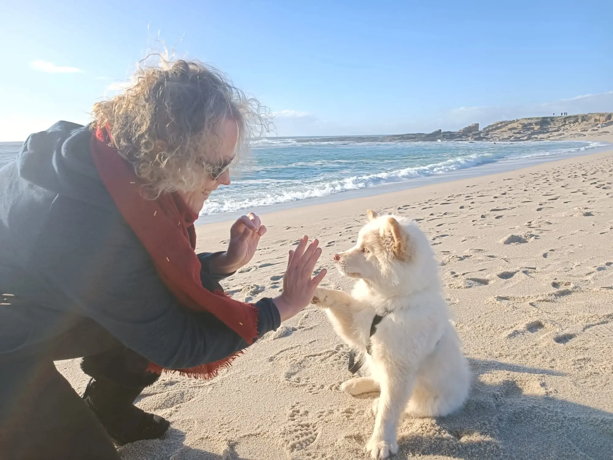 Sur une plage, une femme accroupie tend la main vers Tips assis dans le sable qui lève la patte